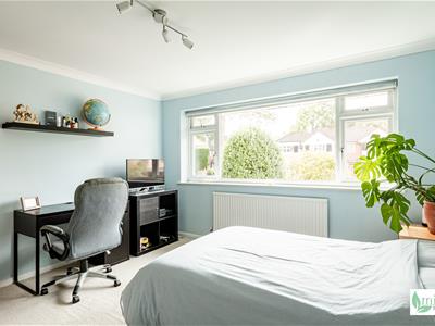 Picture 22